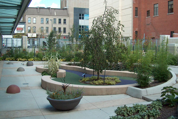 Central Library Rotary Reading Garden